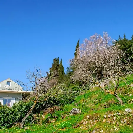 Panochori * Βαλσαμάτα